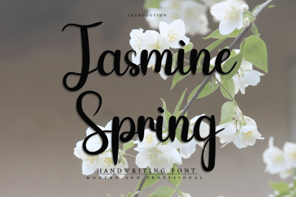 Jasmine Spring: The Handwritten Font for Scroll-Stopping Social Graphics
