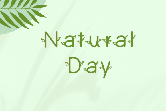 Natural Day: A Friendly Typeface for Modern Web Design