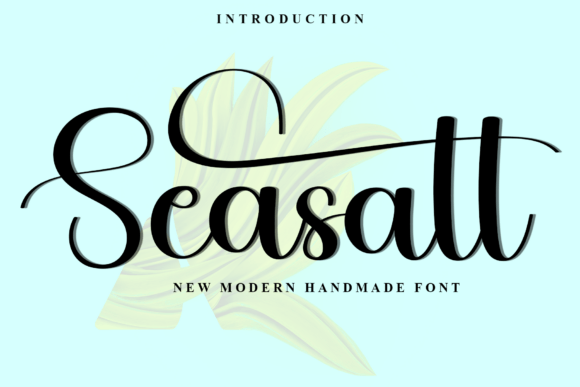 Seasalt: A Soft Script Font for Editorial Design
