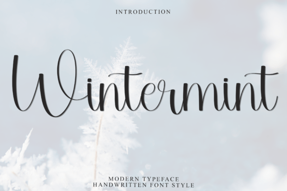 Wintermint: A Designer’s Honest Review